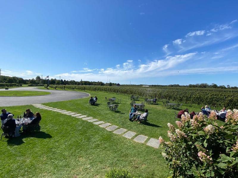 Del Vino Vineyards
