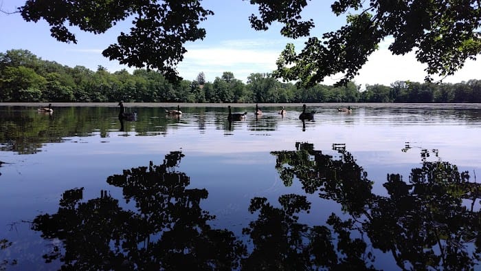 Harold Walker Memorial Park