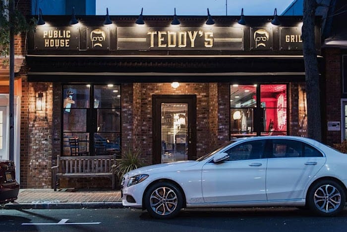 Teddy's Bully Bar